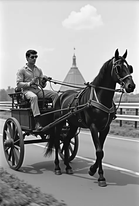 arafed black and white photo of a  riding a horse drawn carriage, a black and white photo by Albert Welti, tumblr, realism, an amusement park in old egypt, at racer track, taken in the early 1960s, old picture, low quality photograph, taken on a 1960s koda...