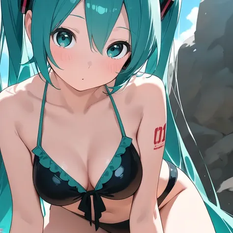  Hatsune Miku, swimsuit