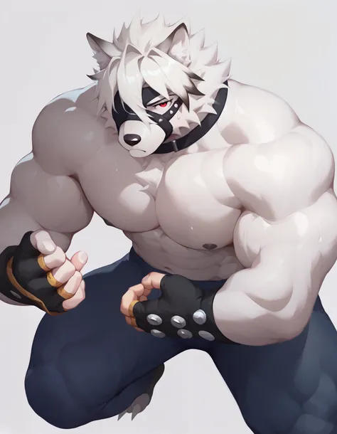 Score_9, Score_8_up, Score_7_up, alone, is from Wolfdog, Werewolf,white fur, muscular, red eyes,, Eye mask, One eye covered, pants, Wristband, The best band , Full Body Portrait,Sweat, Fingernails ,Wolf Paw, fingerless gloves ,Thin,Lie down,Supine,muscu...