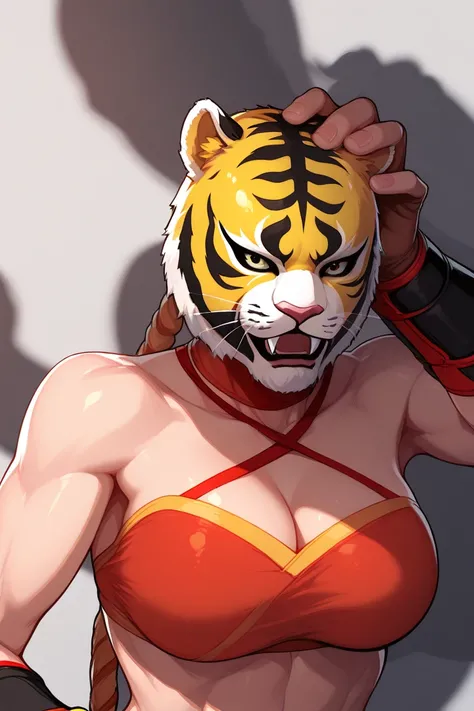 Female wrestler female tiger mask, shadow man unties her mask strings, shadow man grabs her head, shadow man removes her mask to reveal her face, dead or alive,