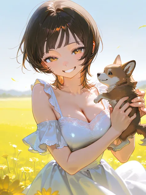 masterpiece、最 high quality、 high quality、 is very aesthetic、 absurd、up to date、 1 woman、 short brown hair、 short wolf cut, very short bangs, white dress  、holding a baby、grin、、masterpiece,  high detail, Field