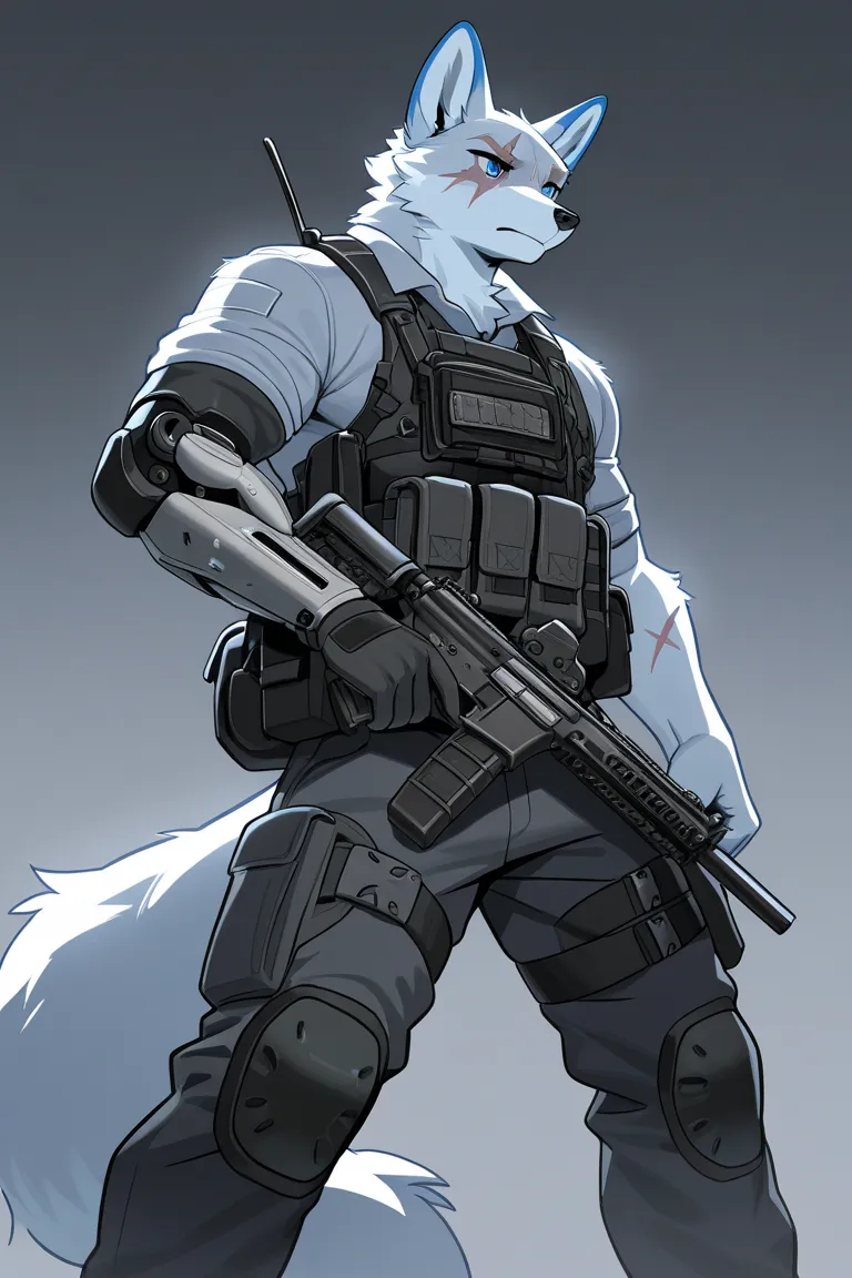 male furry fox, techwear, blue eyes, 2 boys, scars on eyes, simple backgrounds, tactical gear, robotic arm