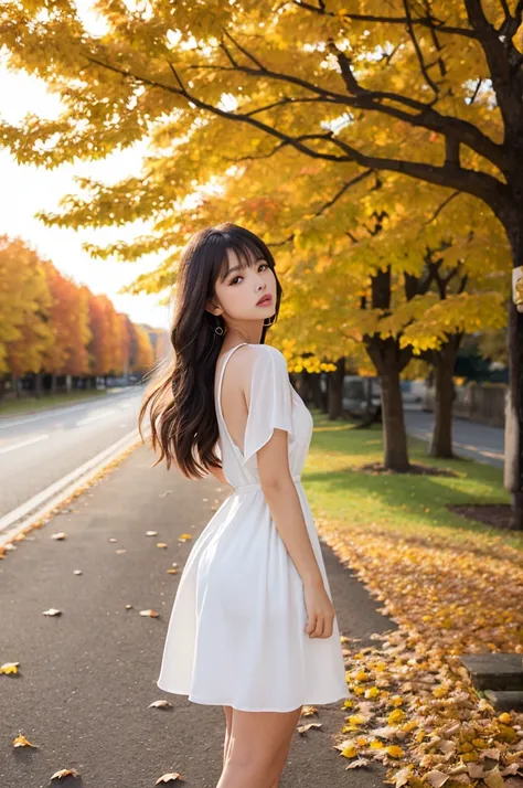 autumn　autumn leaves　white dress