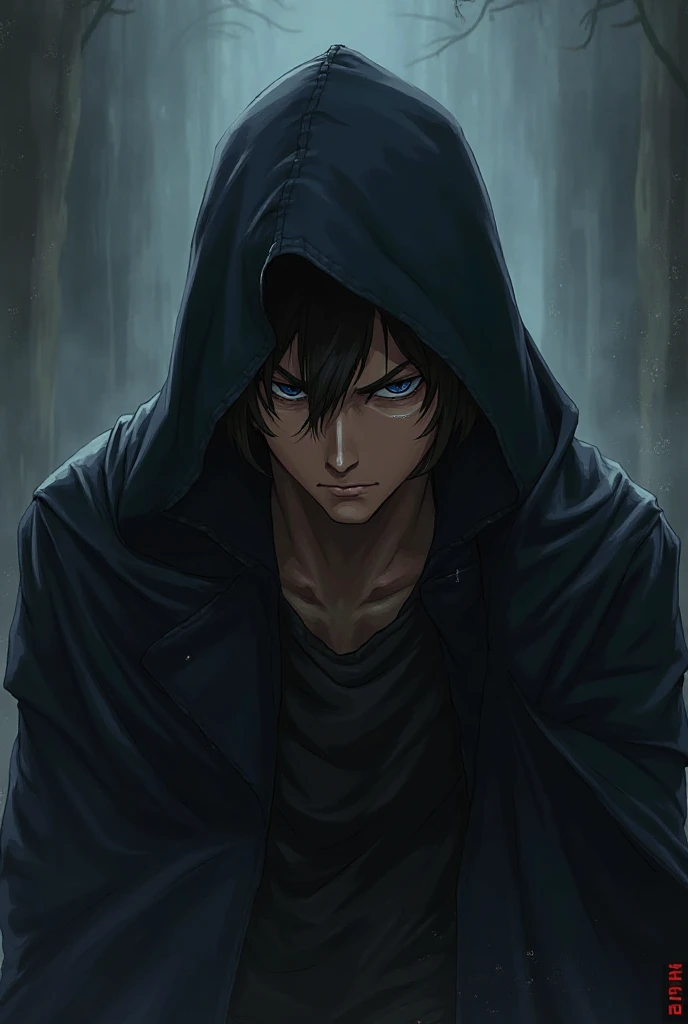 Male human, Dark brown haired and dark blue almond eyes, assassin in a dark cloak, brown clothes,slight tanned skin, anime style