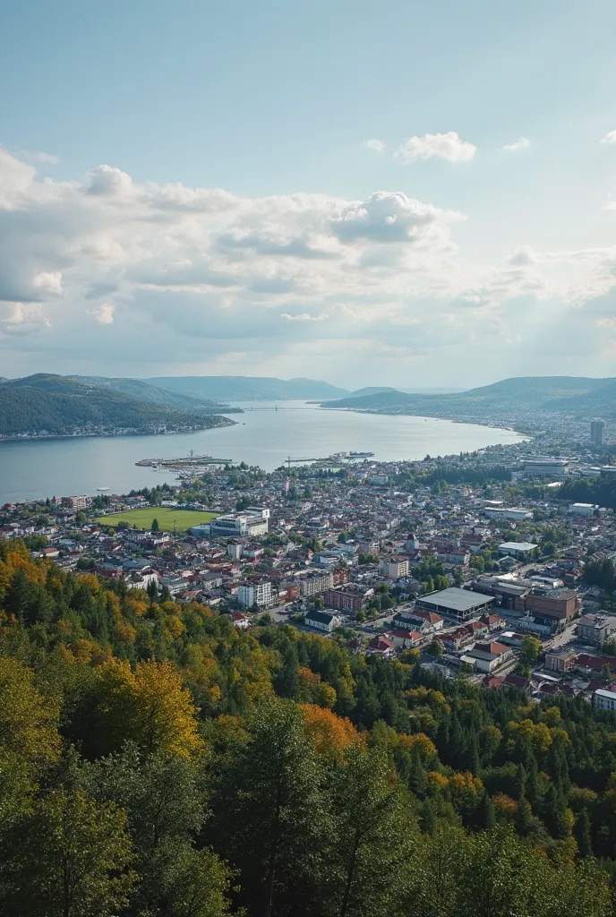 arafed view of a town and a body of water, a picture by Tom Wänerstrand, pexels, samikshavad, surrounding the city, entire city in view, panorama view, panoramic view, view of villages, in the foreground a small town, scenic view, view from high, view over...