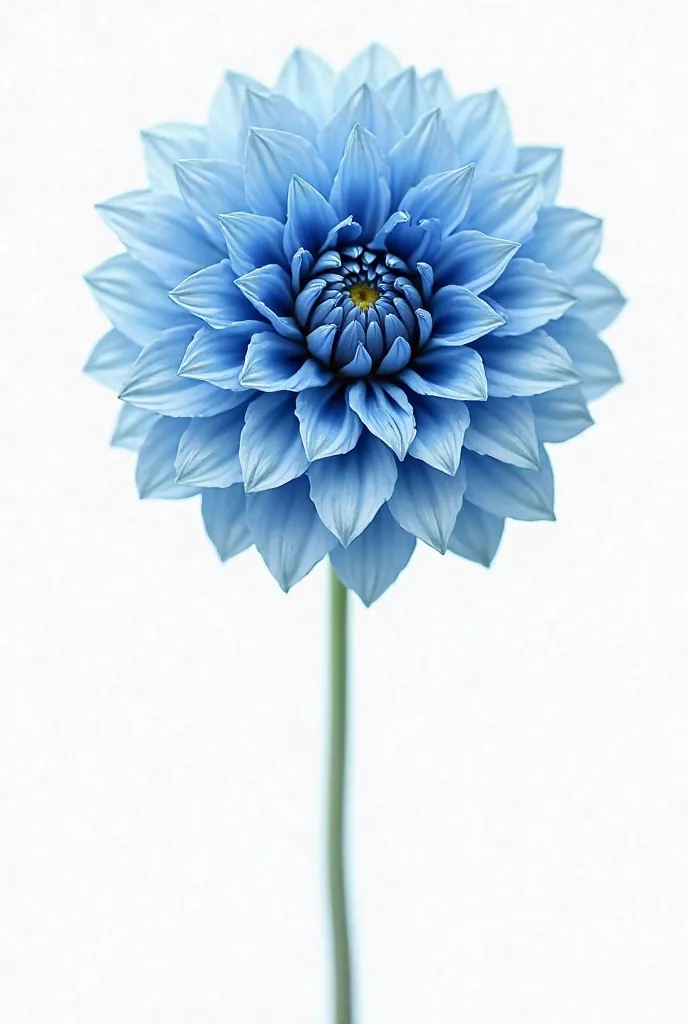 Generate a blue dahlia with png background, in watercolor style