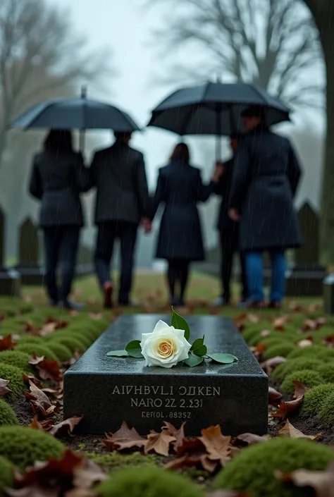 The Woman’s Burial
Scene: A rainy autumn day in a desolate cemetery.
Focus: Mourners huddle under black umbrellas as the woman’s casket is lowered into the ground. Her grave is marked by a simple headstone with her name and dates. Beside it, an empty plot ...