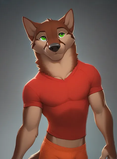 HD 4k, score_9, score_8, by zaush, Alone, muscular, brown wolf, with a long and fluffy tail, With green eyes , with a red shirt, orange pants, on a gray background,