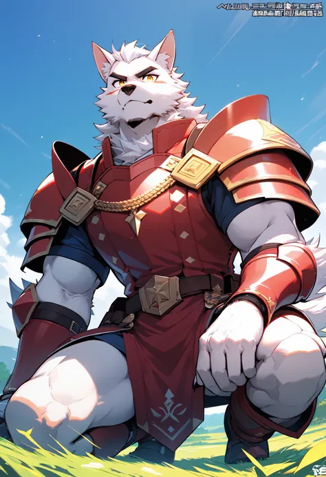 

 a furry handsome guy，   masterpiece，  alone，The adult's， The white werewolf，   strong physique， golden eyes ， Medieval Knight Armor ，Handsome armor。 Sabre ，4K， 8,000， high resolution ，  masterpiece：1.2），  Super Fine ， Detailed Eyes，Low Angle of View，The...