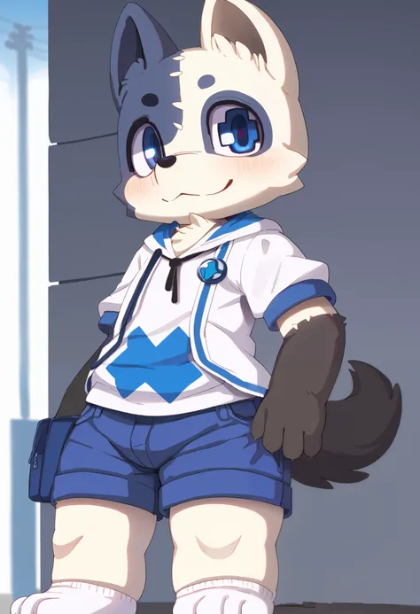 score_9, score_8_up, score_7, solo, 1male furry, anthro, Shuichi, dog, chonky, odd pupil, blue pupil, white and blue fur, two tone fur, looking at viewer, standing, wearing shorts