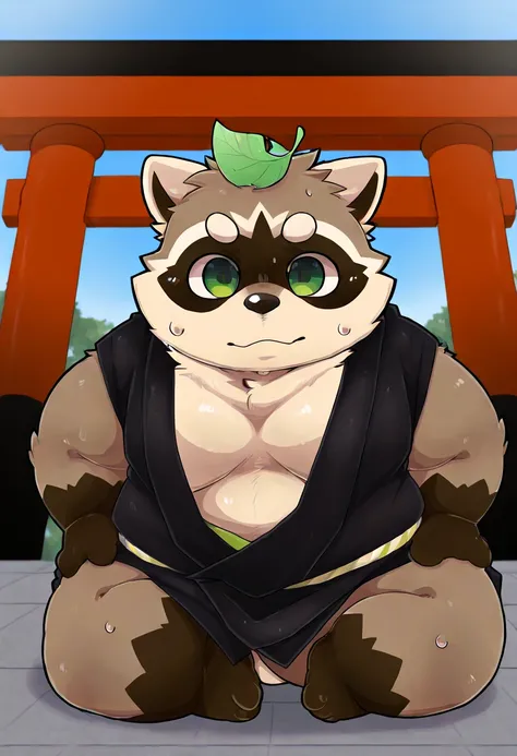 New Jersey 5 Furry,(Raccoon )，alone，Wildlife，Strong body，chubby，Thick Arms，Luxurious，chubby脸颊,(Round eyebrows )，(Young， cute)，( green eyes)，(black kimono,Open neckline)，((with a green leaf on the head))， happy ， Japanese style，Torii，(sweat)，From 96panda, T...