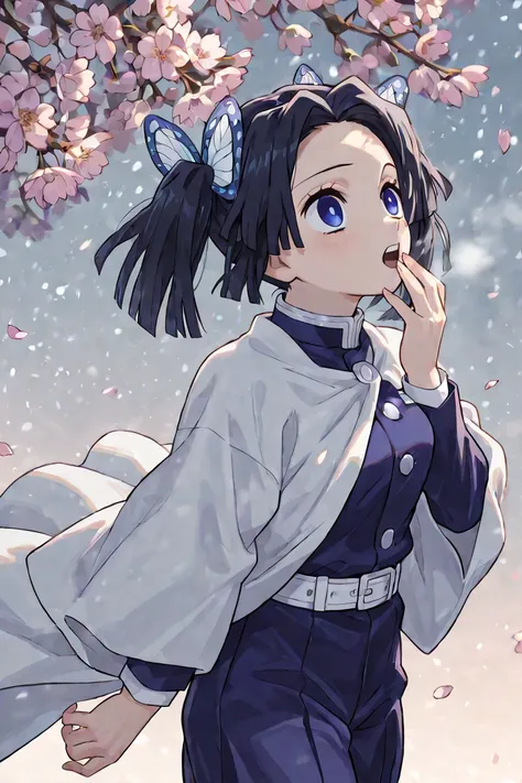 Kanzaki Aoi,((Aoi Kanzaki\(Demon Slayer:  kimetsu no yaiba\))),((Kanzaki Aoi\( Demon Slayer \))),score_9, score_8_up , score_7_up , source_anime,
aoikanzaki , Aoi Kanzaki, blue eyes, black hair, hair ornament, twintails, butterfly hair ornament,
long sleev...