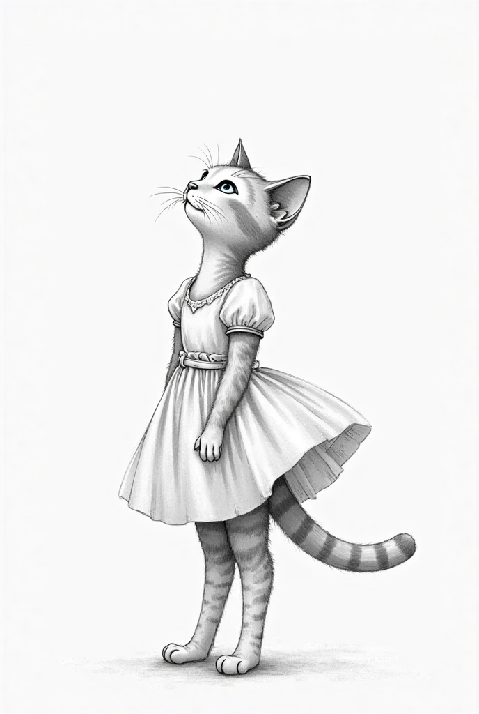 Drawing of a cat in a girl's dress, The cat is standing on two legs and the tail comes out under the dress. The cat is looking up slightly. The drawing is in black and white and faint and realistic.