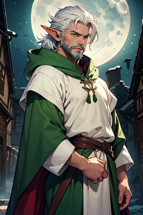 fluffy white-haired elf , green eyes ,  medieval clothing , Pointed ears ,  under the moonlight  , wearing a small white beard , a bow , hooded by a green cape