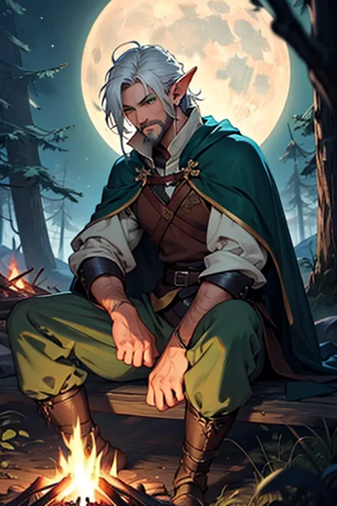 fluffy white-haired elf , green eyes ,  medieval clothing , Pointed ears ,  under the moonlight  , wearing a small white beard , a bow , cloaked in a green cape, a scar from a cut covering his left eye , sitting on a campfire , the appearance of a survivor