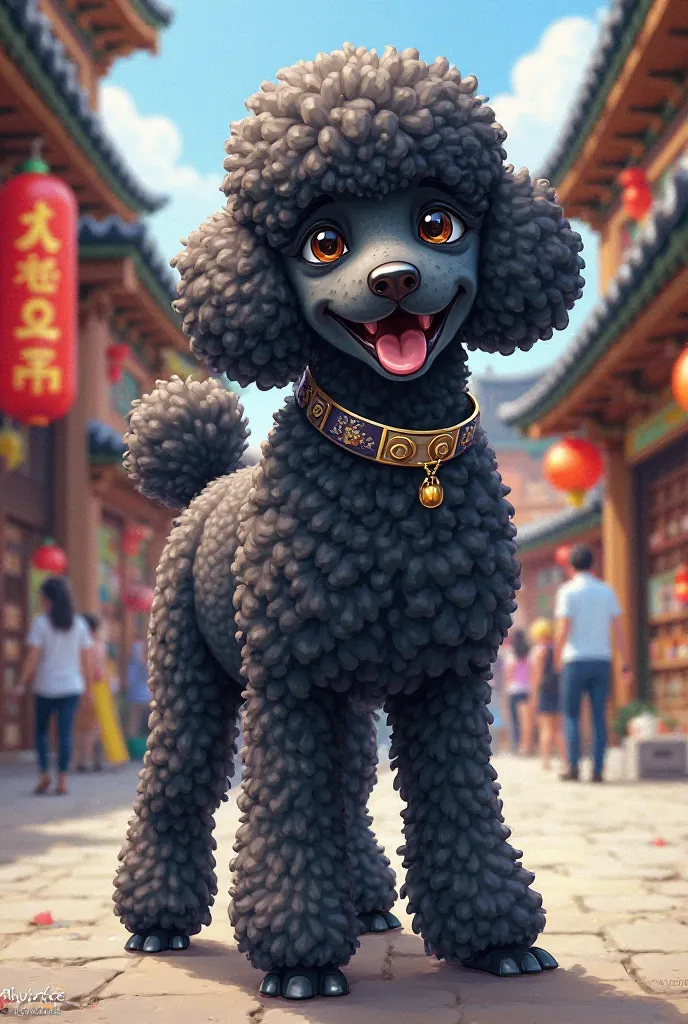 Korean poodle