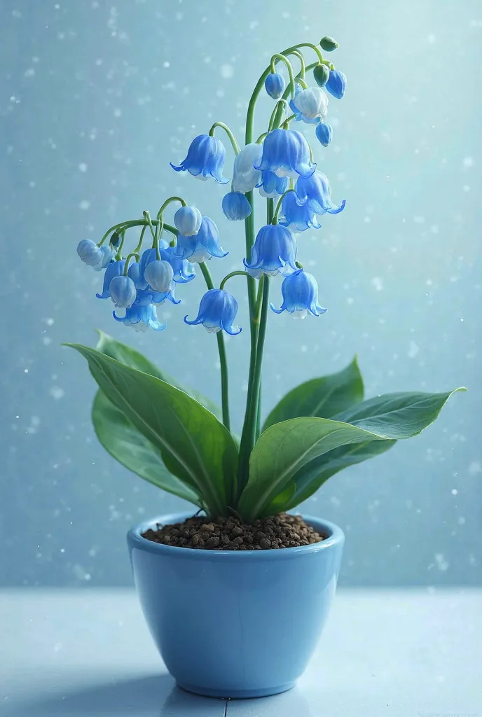 More realistic magic style, lily of the valley its petals have to be blue gradient with light blue, in a pot , small,  color white