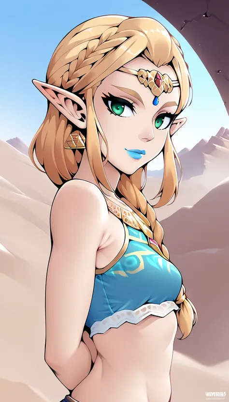   score_9,   score_8_high,   score_7_high,   score_6_high, geewhy_still,   Zelda,
  1 girl, Alone, gaze at the viewer,   jewelry, Gold,  braided ponytail ,     green eyes,   blonde hair,   pointed ears,   fair-skinned woman  , makehigh, lipstick,  Desert, ...