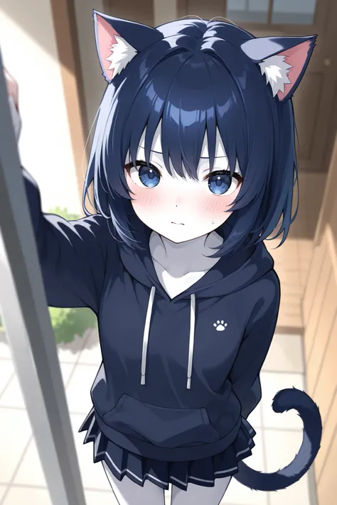  dark blue hair、 One Woman 、 hoodie、dark blue eyes、best image quality、highest resolution、skirt、 day、 white skin、Cat ears、Cat tail、blush、 zitoida