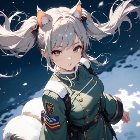 1 beautiful woman、Gray Hair、twin tails from above、brown eyes、Flying squirrel ears、Military cold protection、cold weather background