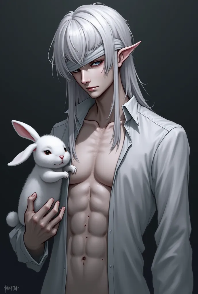 dark style, mystery fantasy style : 1 tall male character.horror game.Leg length platinum hair slightly curly, hanging down covering deep silver eyes, as deep as hiding something. Left hand holding a cotton rabbit Fuzzy gray background ,  creates a mystica...