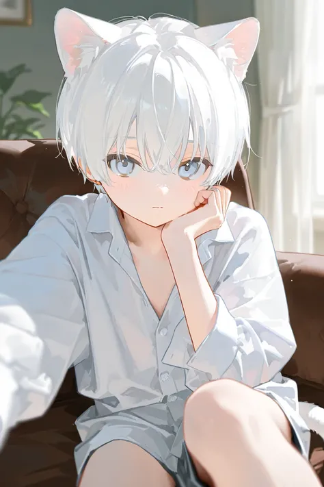 young  boy,cat boy,white hair