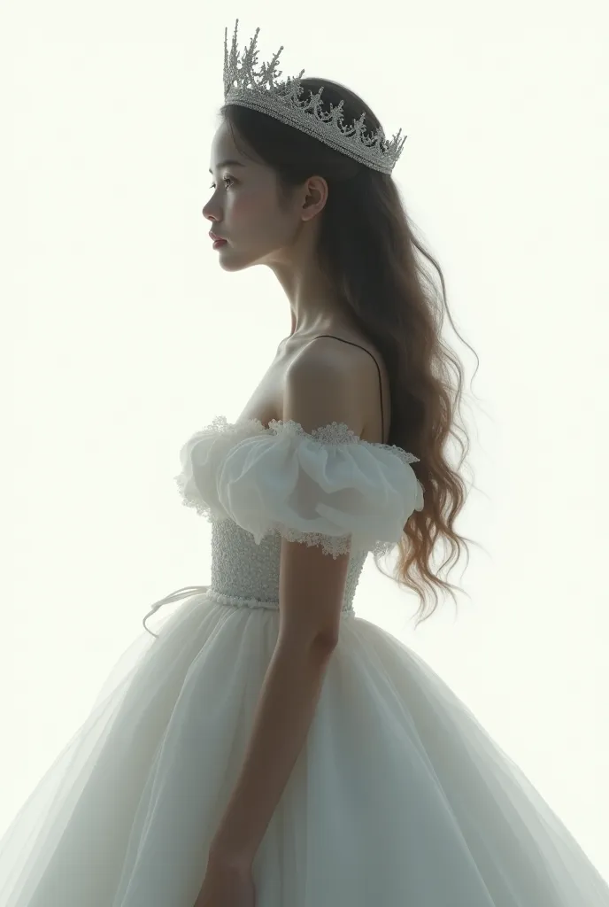 Shadow of a girl with crown and long hair with waves to the middle of her body with voluminous dress ampon side profile with realistic white page background

