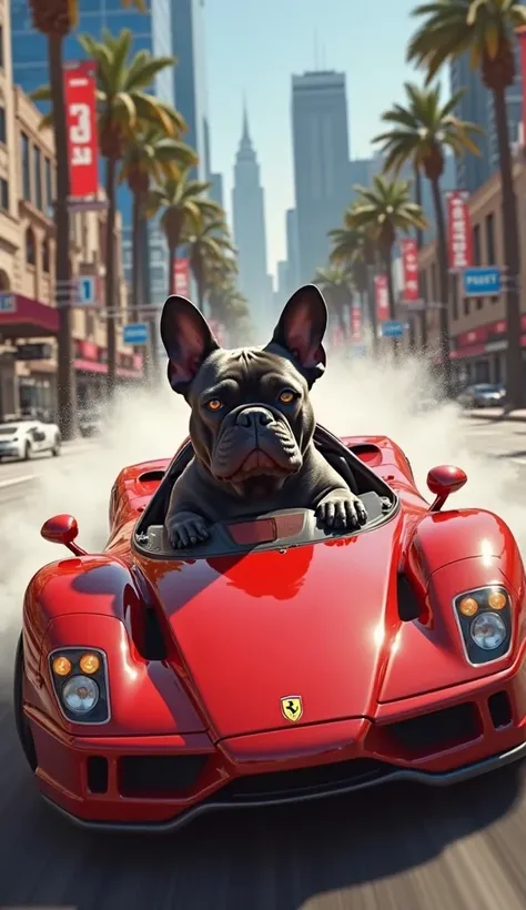 Dark grey french bulldog driving inside red Ferrari   drifting , Los Angeles (fast and furious) dog's paws are on the wheel 