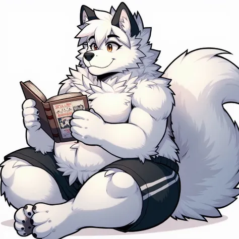 Furry realistic anthropomorphic albino wolf with brown eyes with glasses he's fat but big and muscular wearing black shorts and he's sitting and has a penis marking his shorts and he's reading an anime-style book
