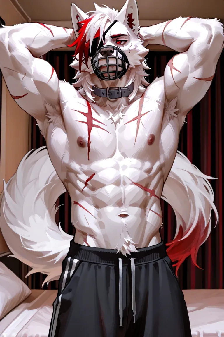 A anthro wolf male with White fur with  red eyes And muscular and scars, along his arms, chest and neck With white hair dark red highlights And with a long white tail with red highlights. Being shirtless wearing black sweatpants And A black muzzle And a gr...