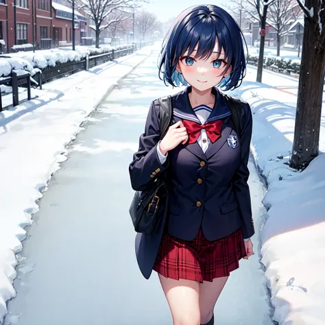 On a snowy morning, imagine a scene as a blue-haired high school girl makes her way to school. Her short bob haircut perfectly frames her face, while her blue eyes sparkle like the snowflakes around her. She's dressed in a classic sailor uniform, complete ...