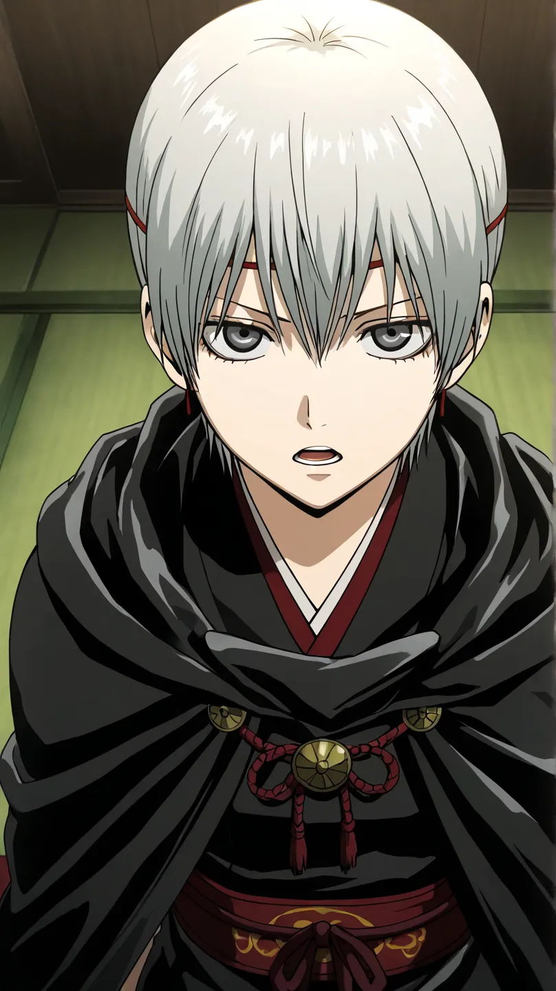 Asaemon,gintama
High quality ,  best quality , masterpiece,  High Resolution , detailed face( LoRA: Asaemon),anatomically correct, detailed hair Style( LoRA: Asaemon),anime Coloring
solo, 1 girl,cool woman
gray hair, gray eyes,, single thighhight, 
, black...