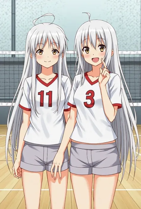 Anime style illustration of a girl with long white hair standing next to Hinata Shoyo from Haikyuu. The girl is wearing the Karasuno volleyball team uniform. They are both smiling and looking at the viewer. Background is the Karasuno High School gymnasium.