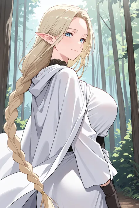 score_9, score_8_up, score_7_up, score_6_up, score_5_up, score_4_up, 1 female, solo, (mature female:1.2), elf, light blue eyes, light golden hair, very long hair, straight hair, forehead, braided ponytail, slender, (large breasts: 1.2), flushed face, light...