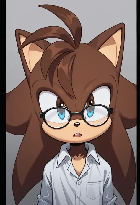 tail of shadow fox, sonic the hedgehog, sonic, animated, video game, game, 1boy, male focus, solo, blue eyes, furry male, furry, looking at viewer, fox boy, animal nose, open mouth, pillarboxed two characters, one has glasses on and the other looks like a ...