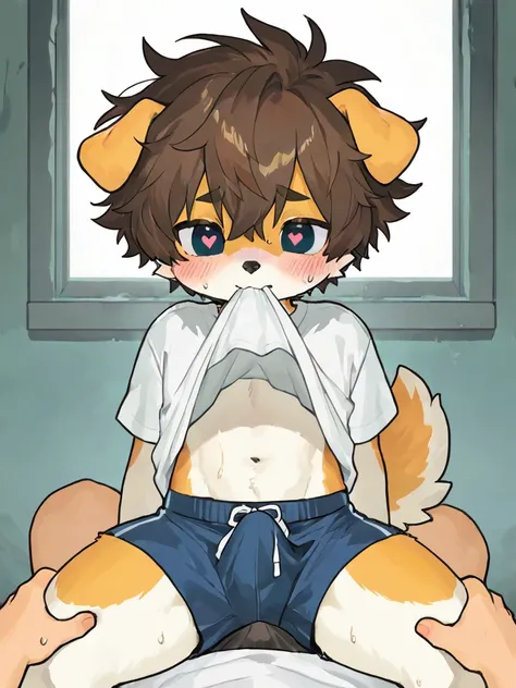   source_ furry, hadrian , furry male， elementary school students，((boy   )),  Dog boy  ，short hair,masterpiece, newest,absurdres, incredibly absurdres, messy hair, cute anthro, Alone，white shirt， A boy  knelt beside the boy , grabbing another's thigh, men...