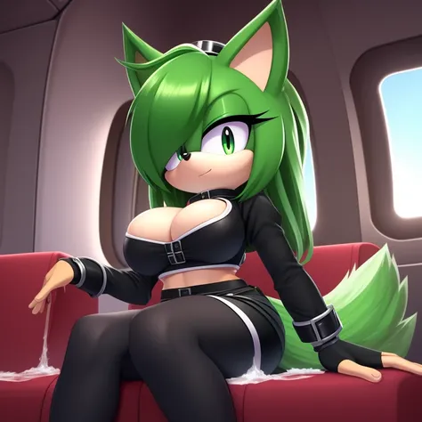 Mobian, female, feminine eyelashes, large breasts, green fur, hair bangs, perfect feminine figure, intricate details, (detailed background), anime style, row of airplane seats, sharp focus, serious, furry female, (solo), green hair over one eye,
Green crop...