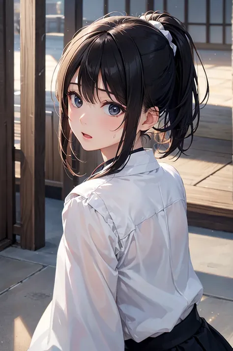  8k resolution,((top quality)),super high resolution, Adult Female, alone,  sexy, (expressionless), (black eyes), beautiful symmetrical face, (long black ponytail hair),Japanese martial arts uniform,black long skirt,realistic:1.4,realistic:1.4,(masterpiece...