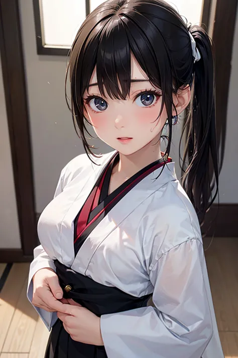  8k resolution,((top quality)),super high resolution, Adult Female, alone,  sexy, (expressionless), (black eyes), beautiful symmetrical face, (long black ponytail hair),Japanese martial arts uniform,black long skirt,realistic:1.4,realistic:1.4,(masterpiece...