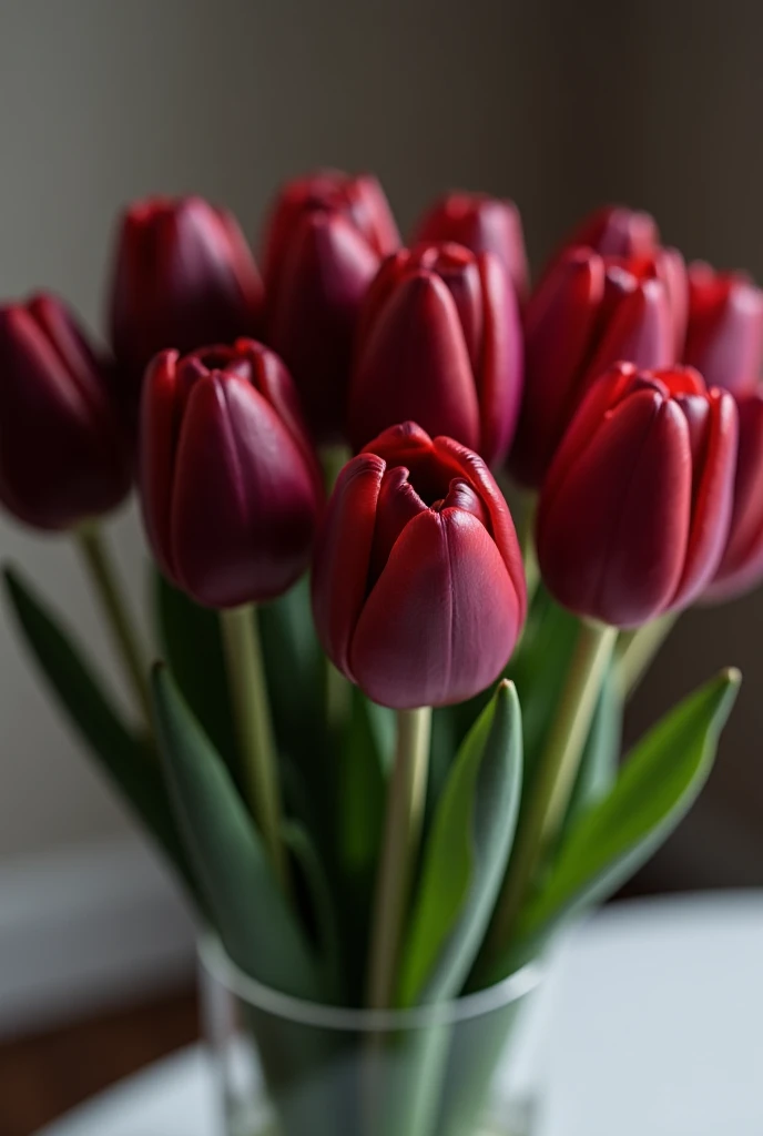 red-burgundy unopened tulips interior aesthetics 