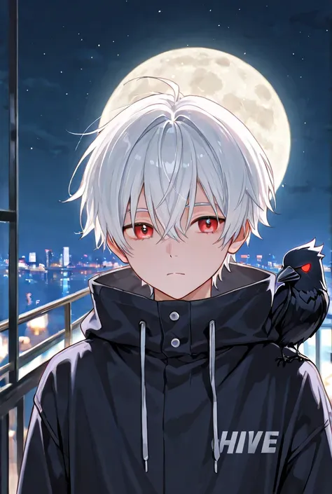 Food、 White Haired Boy 、Crow、 night city、moon、red eyes