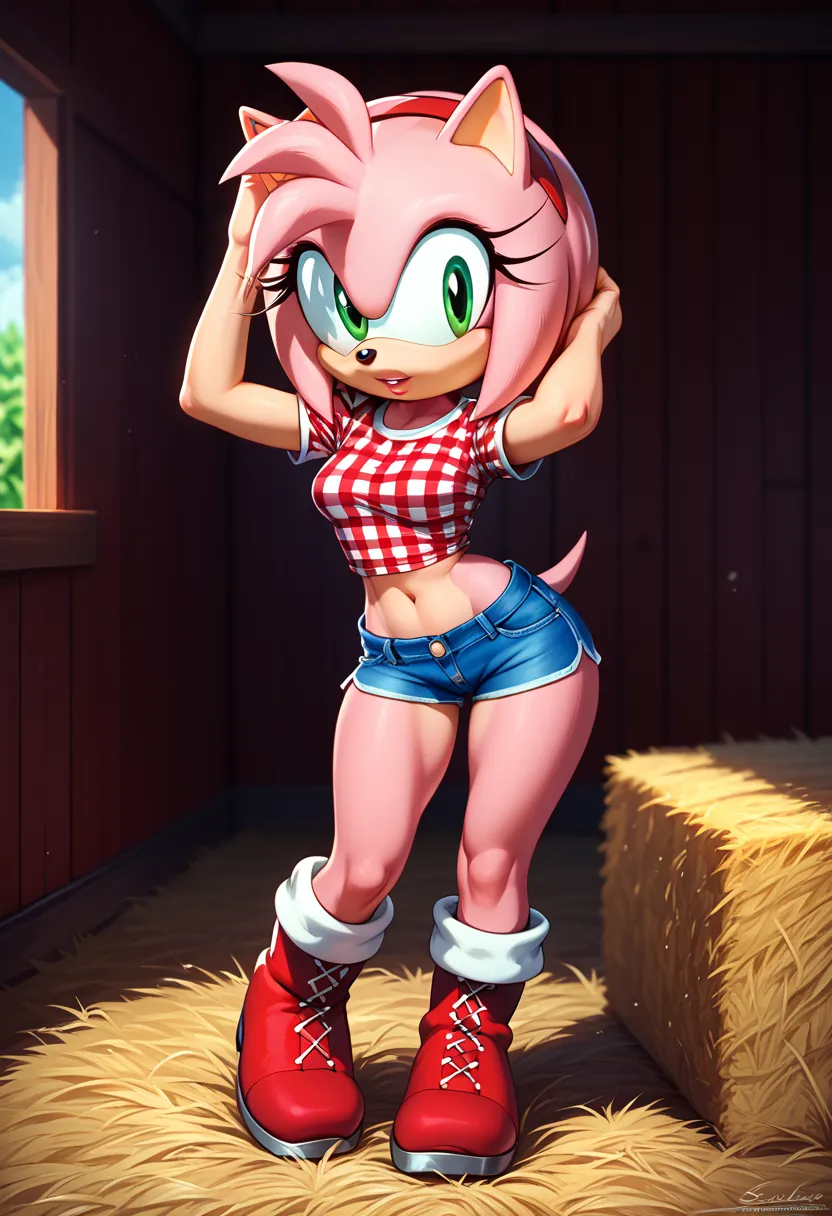 Amy rose. Breasts. Sonic. Furry. Pose sexy. Pose sexy. Checked shirt. Super shorts. Boots. Farm 