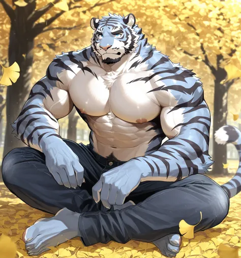 a tiger with blue-white mixed fur，  mature ，furry ,  anthropomorphic face，of exposed pectoral muscles， blue pupil，  mature雄性，Chief ，majestic，Father， no top， majestic temperament ， blue eyes,  black beard， stands，Looking up， black skinny jeans，In the Park，G...