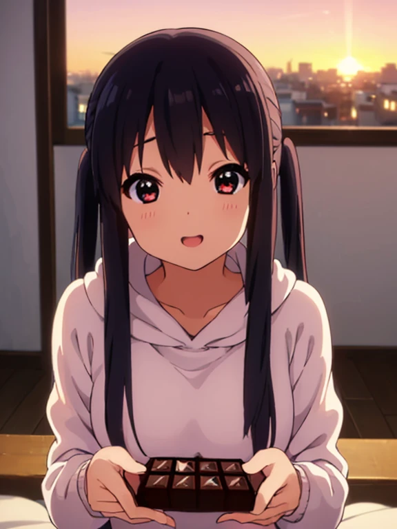 1 female, (((걸작))),  wallpaper HD , quality, quality, high detail,  Nakano Azusa , 1 female, long sleeve hoodie, Twin tails, length hair,  dark haired, , alone, Ready , illustration, comic strip,  soft tone ,  calm colors , Soft Cinematic Lighting, studio ...