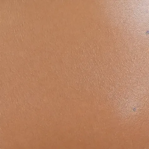 skin, tanned skin01