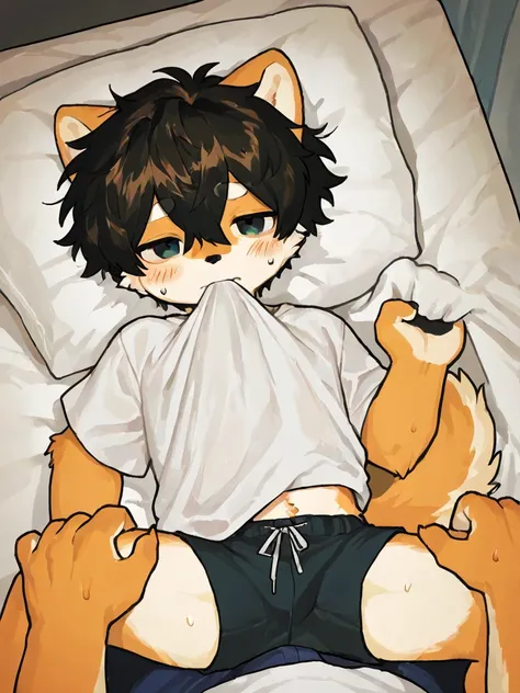  source_ furry, hadrian , furry male， elementary school students，((boy   )), Black Haired Shiba Inu，Dog boy  ， short hair,masterpiece, newest,absurdres, incredibly absurdres, messy hair, cute anthro, Alone，white shirt， A boy  knelt beside the boy , grabbin...