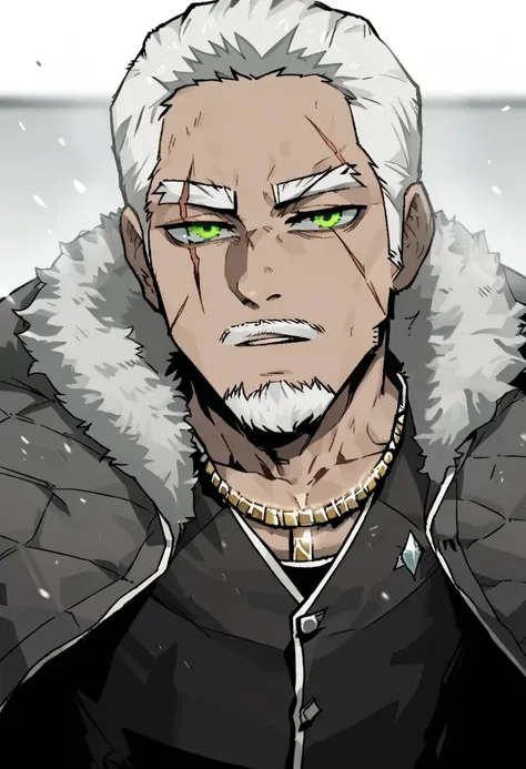 score_9 BREAK gogalking style, human male,1man,solo,tall,dark skin, muscular, young, mid 30s, body covered in scars, short white hair, beard, emerald green eyes,half-closed eyes,standing, a open grey winter vest with a fur hood and fur on the edges, neckla...