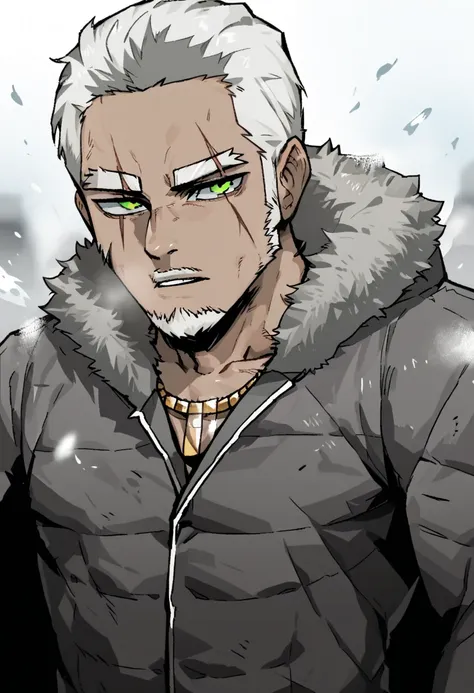 score_9 BREAK gogalking style, human male,1man,solo,tall,dark skin, muscular, young, mid 30s, body covered in scars, short white hair, beard, emerald green eyes,half-closed eyes,standing, a open grey winter jacket with a fur hood and fur on the edges, neck...