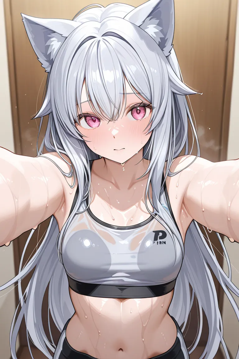  Silver Hair　 Beast Ears　long hair　Tall Length　sports bra　 Pichi Pichi 　sweaty　 wet and transparent　Chest　Soup　I'm putting up with being horny