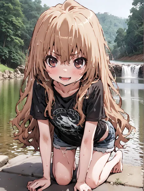 score_9, score_8_up, score_7_up, source_anime,
Taigaisaka, Aisaka Taiga,Alone, long hair, brown hair, brown eyes,ponytail,smile,open your mouth,plain black t-shirt,belly button sticking,Tie the hem of the shirt,denim micro shorts,Bare legs,wet skin,wet ha...